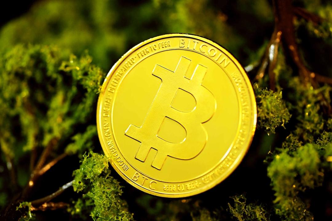 專家表示XRP即將讓人們驚呼：「該死，我真希望我有一些！」