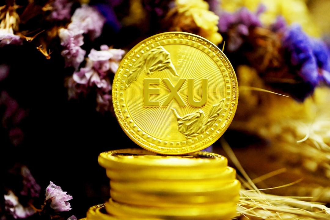 這裡是XRP在ISO 20022中真正的定位